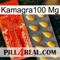 Kamagra100 Mg new01